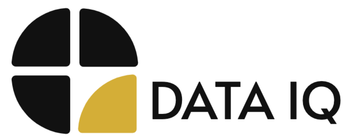 Data IQ